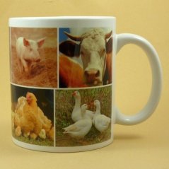 Hrnčekové zvieratká