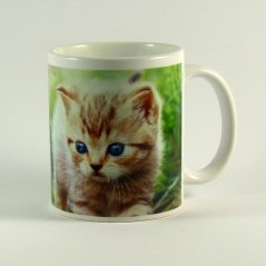 Hrnek s kotětem v trávě