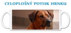 Hrnek Rhodéský ridgeback