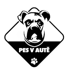 Pes v aute Boxer nálepka na auto