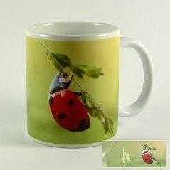 Hrnček Ladybug