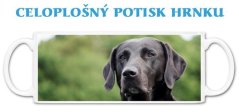 Hrnek Hnědý labrador