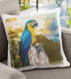 Polštář Papoušek 1