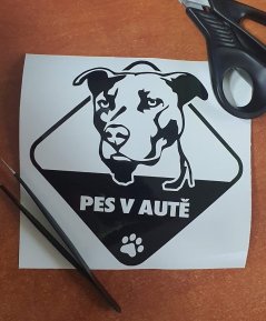 Pes v aute Pitbull nálepka na auto