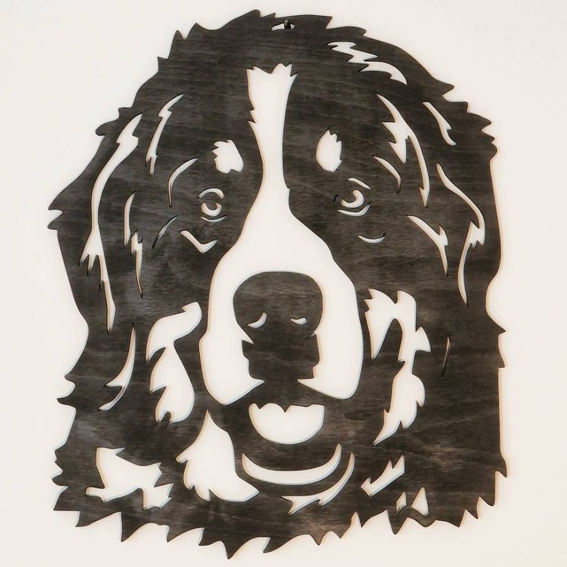 Bernský salašnický pes obraz - Barevné provedení: Černý motiv