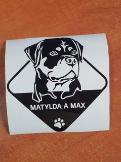 Pes v aute Rotvajler nálepka na auto