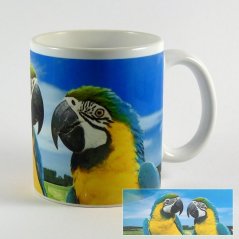 Hrnček papagáje