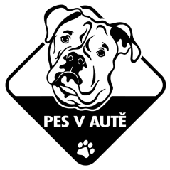Pes v aute Americký buldok nálepka na auto
