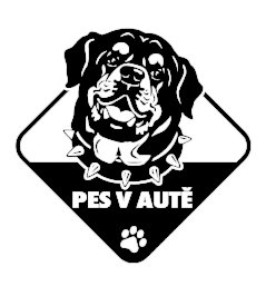 Pes v aute Rotvajler 2 nálepka na auto