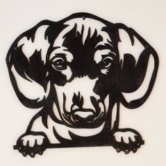 Jazvečík hlava obraz