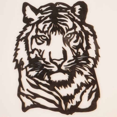 Tiger hlava obraz