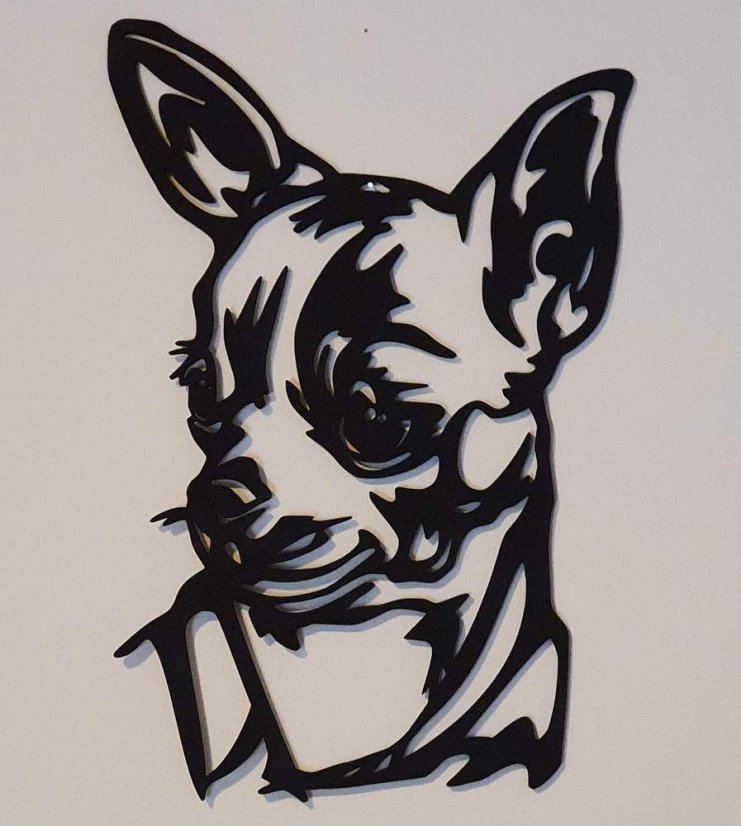 Obrázok čivavy - Barevné provedení: Čierny motív