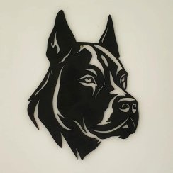 Pitbull hlava obraz