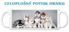 Hrnek štěňata Husky