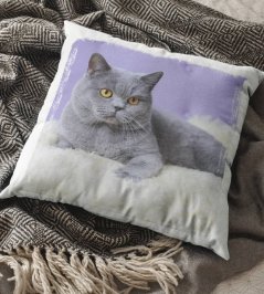 Polštář Kočka 3