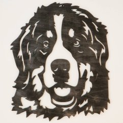 Bernský salašnický pes obraz