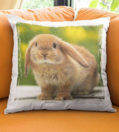 Polštář Králik 2