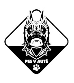 Pes v aute Pitbull 2 nálepka na auto