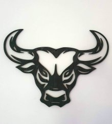 Bull Head Image