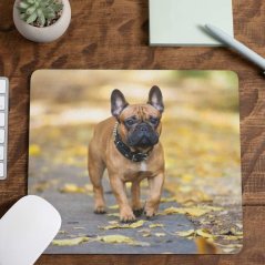 Podložka pod myš Bulldog