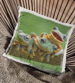 Polštář Žabky