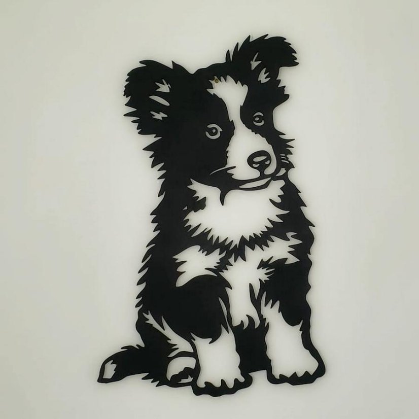 Border kolie štěně obraz - Barevné provedení: Světle hnědá lazura