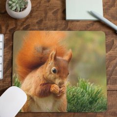 Podložka pod myš Veverka 2