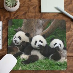 Podložka pod myš Pandy