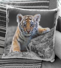 Polštář Tygřík