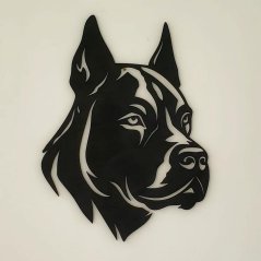 Pitbull hlava obraz