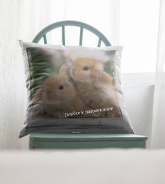 Polštář Králíci