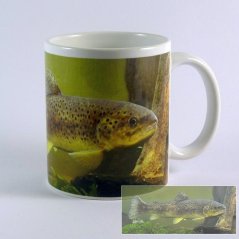 Hrnček so pstruhom