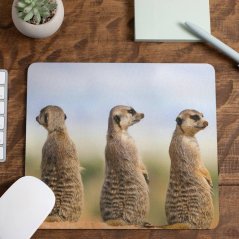 Podložka pod myš Surikaty 2