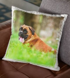 Polštář Pes Boxer