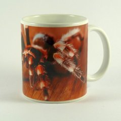 Hrnček Tarantula pavúk