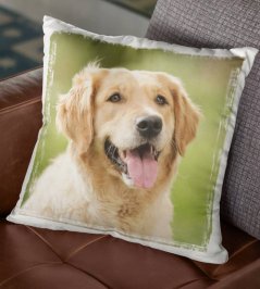 Polštář Pes Zlatý Retrívr