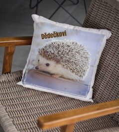 PolštářJežek 2