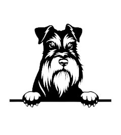 Nálepka na auto - Knírač 1