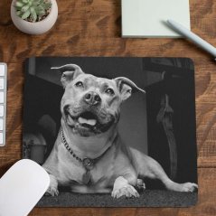 Podložka pod myš Pitbull