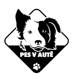 Pes v aute Border kólia nálepka na auto