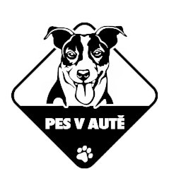 Pes v aute Jack Russell nálepka na auto