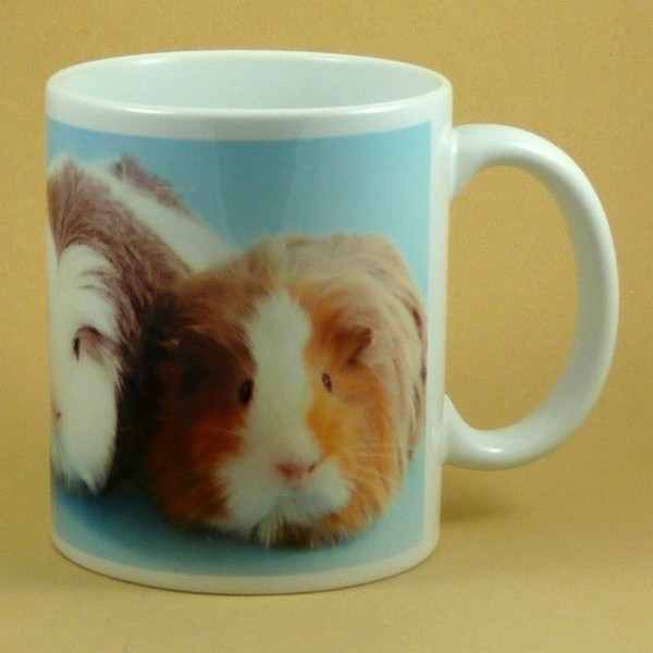 Hrnek morčata strakatá