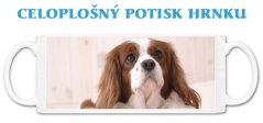 Hrnček Cavalier King Charles of Spain