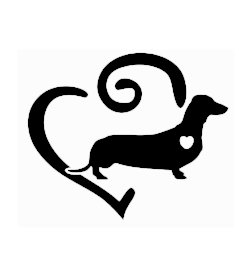 Jazvečík srdce 1 nálepka na auto