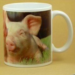Hrnek prasátka selátka