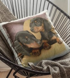 Polštář Pes jezevčíci