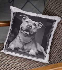 Polštář Pes 9
