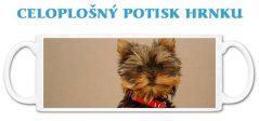 Hrnek Jorkšír štěně