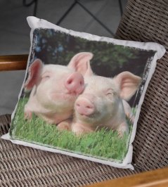 Polštář Prasátka