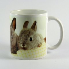 Hrnčekové králiky sivé